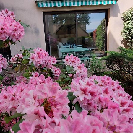 Le Denyspuech 55M2 Plein Centre Avec Jardin! Apartment Rodez Ngoại thất bức ảnh