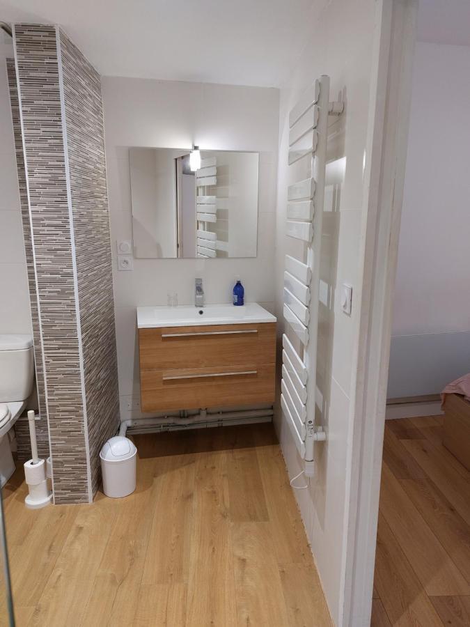 Le Denyspuech 55M2 Plein Centre Avec Jardin! Apartment Rodez Ngoại thất bức ảnh